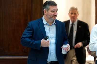 Mexico to Sen. Cruz: At least our candidates accept defeat