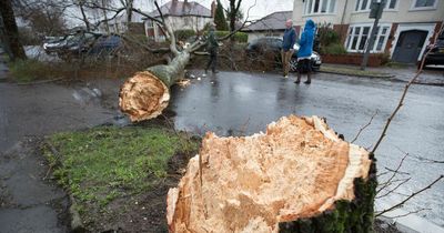 Storm Eunice: All the events cancelled in Cardiff on Saturday