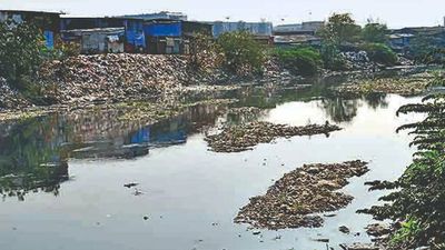 Mumbai: Mithi’s bitter saga on, CM-led panel met 6 times in 16 years, show RTI records