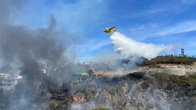 Firefighters save homes after blaze travelled 'quite quickly up the hill' of Hobart suburbs Dynnyrne and Mt Nelson