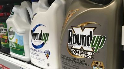 Bayer glyphosate, Roundup production takes a hit, but Australian farmers may have 'dodged a bullet'