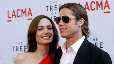 Pitt Sues Jolie over Sale of French Vineyard