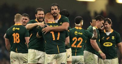 Adding South Africa to Six Nations would be a crushing blow to developing European sides