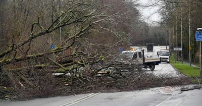 15,000 homes still without power in Wales after Storm Eunice