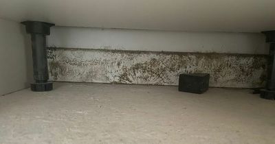 Distraught couple find kitchen ‘unusable’ after getting keys to dream £385,000 new build
