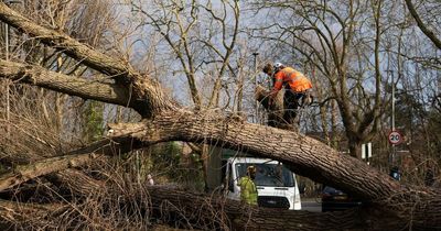 Storm Eunice: 100s of thousands still with no power with clean-up to cost £300million