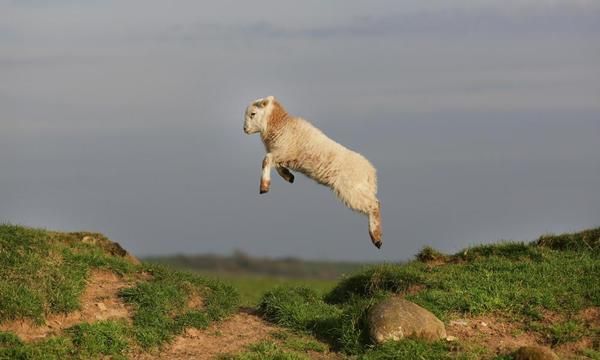 Top 10 adventure stories inspired by Wales