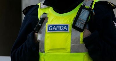 Gardai called to crash arrest driver and seize car after multiple law breaks