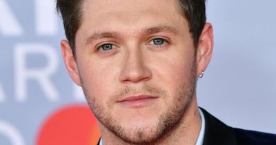 Niall Horan falls 'extremely ill' on British Airways flight to America