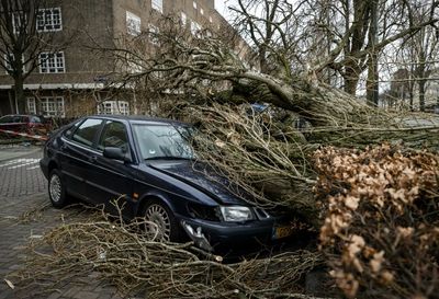 14 dead as Storm Eunice hits power, transport in Europe