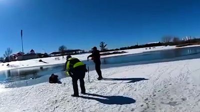 VIDEO: Woman Falls Through Ice After Dogs Chase Birds Onto Frozen Lake