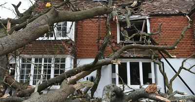 Huge tree crushes home while family are inside as its uprooted by Storm Eunice