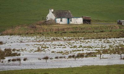 Tributes paid to Irish council worker killed by falling tree in Storm Eunice