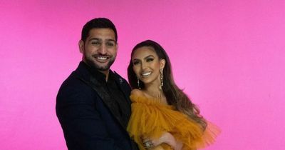 Who is Amir Khan's wife Faryal Makhdoom and what does she do?