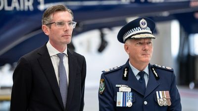 NSW police watchdog knew about former commissioner Mick Fuller's racehorse co-ownership for years