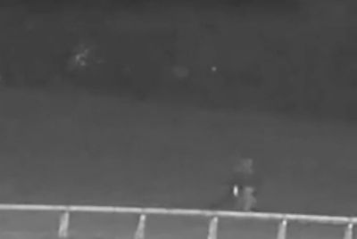 ‘Distressing’ moment sex attacker ‘zaps’ woman from behind in playing field until she passes out