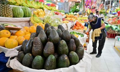 Holy guacamole: US gives green light to Mexico avocado imports after short ban