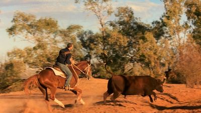 Law student Hugh O'Donnell left the city for time in the outback. Here's what he learnt