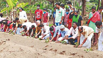 Ernakulam to get six more Buds schools