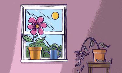 Much as we love the NHS, we can no longer ignore the ethnic inequalities that beset it