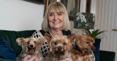 Co Down woman follows her dreams by publishing first book aged 77