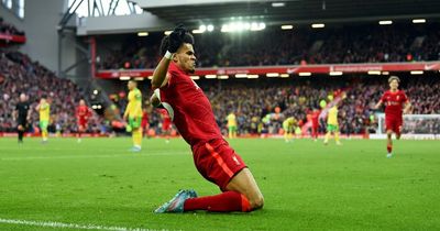 New Liverpool signing Luis Diaz sends message to fans after scoring his first goal for club