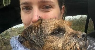 Dog left shaken and 'very thin' after spending six days trapped in badger's den