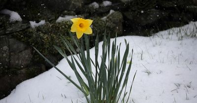 Met Office says widespread snow to fall in Wales this week