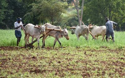 Ahead of Karnataka Budget, farmers flag agricultural issues in Mysuru