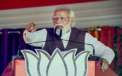 Modi promises to solve stray cattle issue in U.P.