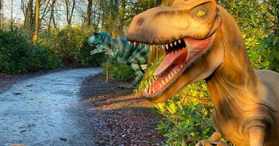 Dinosaurs, wild animals and aliens - what it's like on the Totally Roarsome trail at Arley Hall