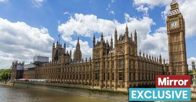 Costly Parliament repairs 'paused' for another six months - and could be axed completely