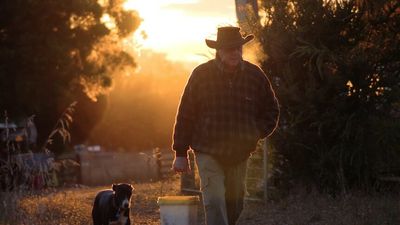 Back Roads meets Rob Wilson, a world-renowned chicken breeder who solved his own genetic mystery