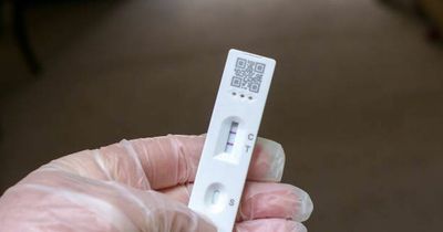 Covid Ireland: Worries over sub-variant as research suggests it may be more transmissible and cause more severe illness