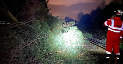 Storm Franklin's intense gusts send tree falling on Merseyrail train track