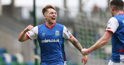 Linfield new boy Chris McKee is 'living the dream' after swapping Rangers for Windsor