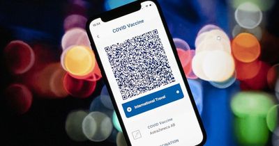 Covid vaccine passports had their day in the sun as threat of widespread loss recedes