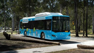 Diesel lingers on in ACT's cautious transition to zero-emission buses