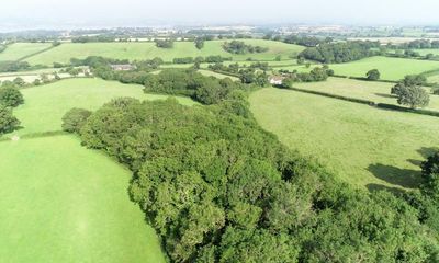 UK wildlife campaigners call for legal right to access nature for all