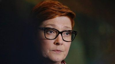 Agriculture Minister David Littleproud says delayed farm worker visa is just waiting on Foreign Minister Marise Payne