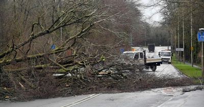 Welsh morning headlines: News, coronavirus, sport, weather and roads updates as Storm Franklin batters Wales