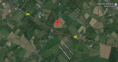 Two young women fighting for their lives after serious crash in Co Louth as gardai close road