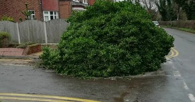 Met Office Storm Franklin hour-by-hour weather forecast in Nottingham with warning in place