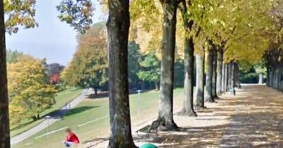 Google Maps user flummoxed after zooming in on park and finding kid 'stuck in a bin'