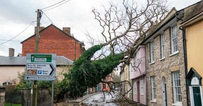 Storm Gladys: When is the next severe weather forecast?