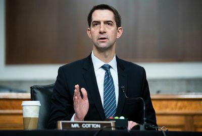 Cotton's "asinine" Putin-Biden comments