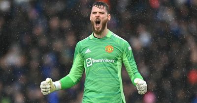 David de Gea provides update on Manchester United future