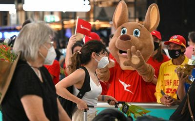 ‘Decimated’: Open borders aren’t a quick fix for the tourism industry, operators say