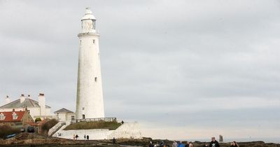 Warning after dead gull at St Mary's Island in Whitley Bay tests positive for bird flu
