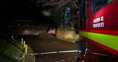 Thornbury Leisure Centre near Bristol closed after tree fell on power lines requiring 'extensive' repairs